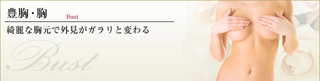 豊胸・胸