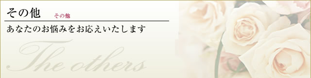 その他